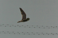 Smelleken 5-Eemshaven 7-10-2015